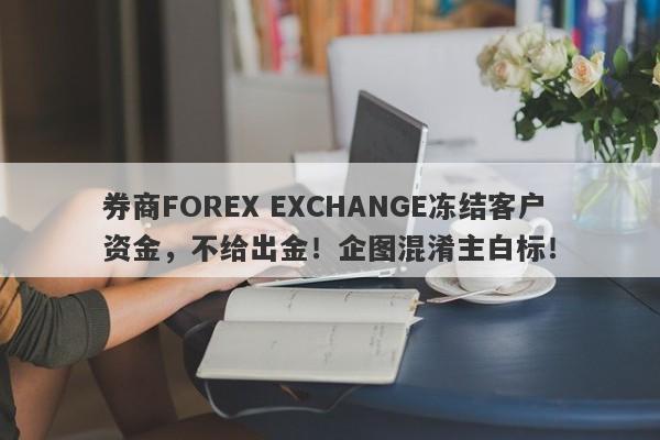 券商FOREX EXCHANGE冻结客户资金，不给出金！企图混淆主白标！