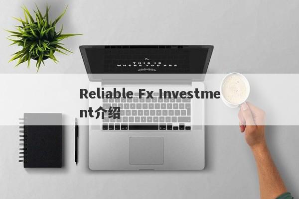 Reliable Fx Investment介绍