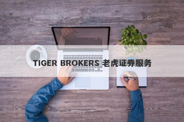 TIGER BROKERS 老虎证券服务