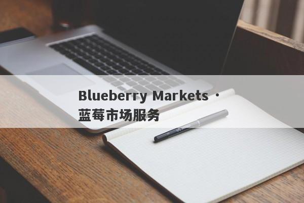 Blueberry Markets · 蓝莓市场服务