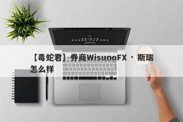 【毒蛇君】券商WisunoFX · 斯瑞怎么样
