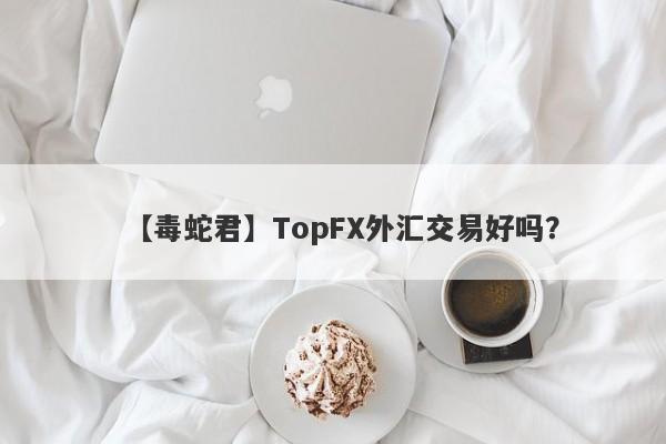 【毒蛇君】TopFX外汇交易好吗？
