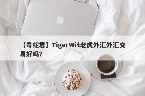 【毒蛇君】TigerWit老虎外汇外汇交易好吗？
