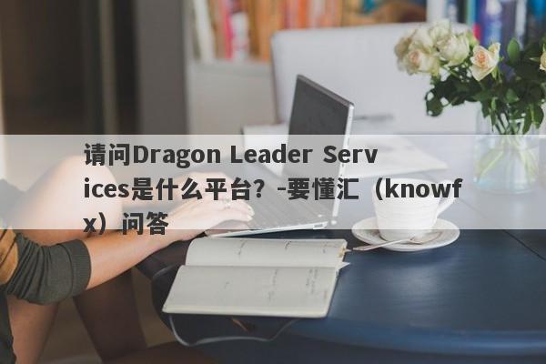 请问Dragon Leader Services是什么平台？-要懂汇（knowfx）问答