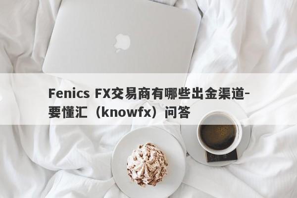 Fenics FX交易商有哪些出金渠道-要懂汇（knowfx）问答