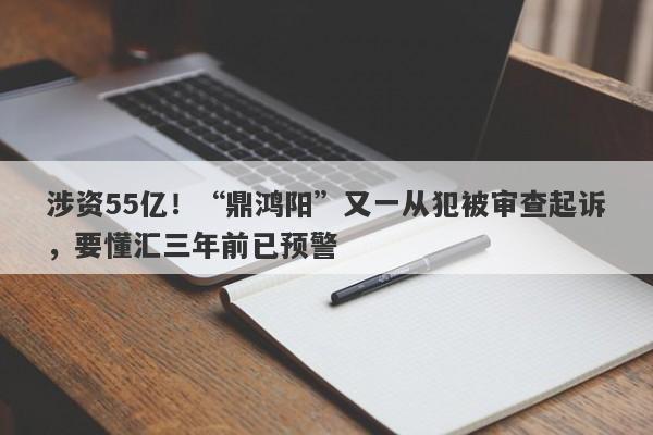 涉资55亿！“鼎鸿阳”又一从犯被审查起诉，要懂汇三年前已预警