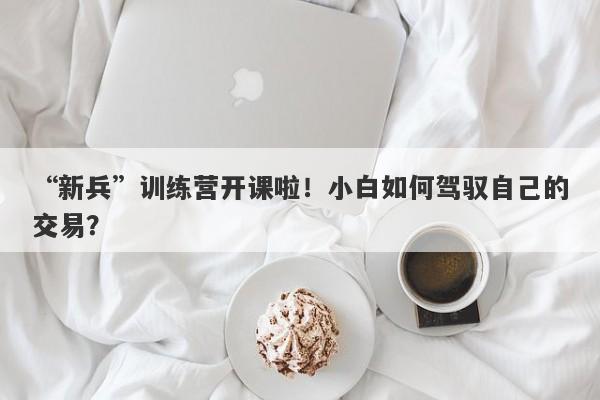 “新兵”训练营开课啦！小白如何驾驭自己的交易？