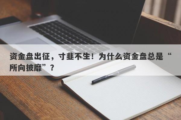 资金盘出征，寸韭不生！为什么资金盘总是“所向披靡”？