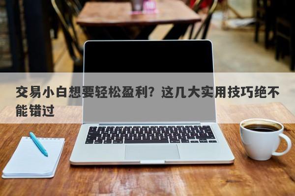 交易小白想要轻松盈利？这几大实用技巧绝不能错过