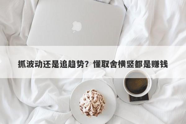 抓波动还是追趋势？懂取舍横竖都是赚钱