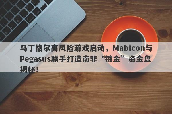 马丁格尔高风险游戏启动，Mabicon与Pegasus联手打造南非“镀金”资金盘揭秘！