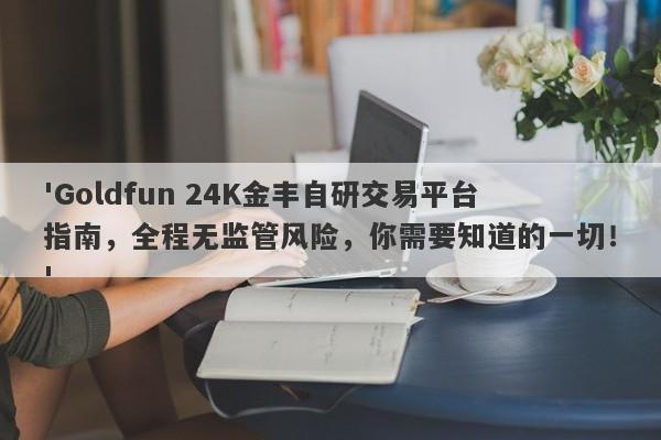 'Goldfun 24K金丰自研交易平台指南，全程无监管风险，你需要知道的一切！'