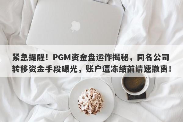 紧急提醒！PGM资金盘运作揭秘，同名公司转移资金手段曝光，账户遭冻结前请速撤离！