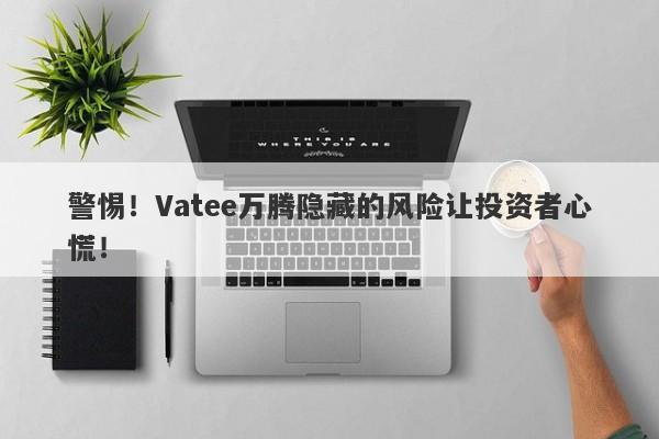 警惕！Vatee万腾隐藏的风险让投资者心慌！