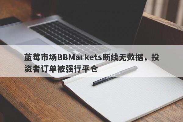 蓝莓市场BBMarkets断线无数据，投资者订单被强行平仓