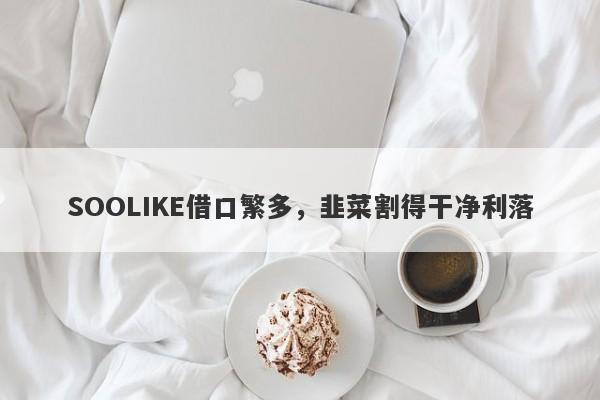 SOOLIKE借口繁多，韭菜割得干净利落