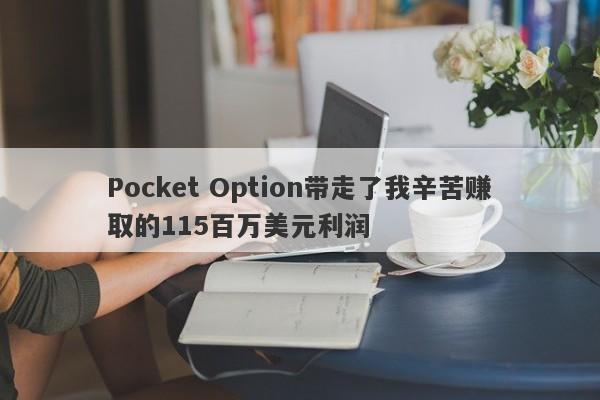 Pocket Option带走了我辛苦赚取的115百万美元利润