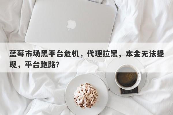 蓝莓市场黑平台危机，代理拉黑，本金无法提现，平台跑路？