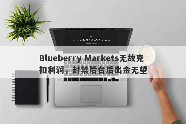 Blueberry Markets无故克扣利润，封禁后台后出金无望