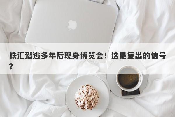 铁汇潜逃多年后现身博览会！这是复出的信号？