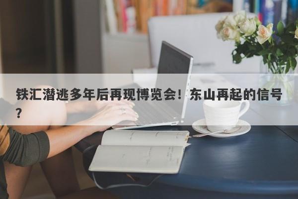 铁汇潜逃多年后再现博览会！东山再起的信号？