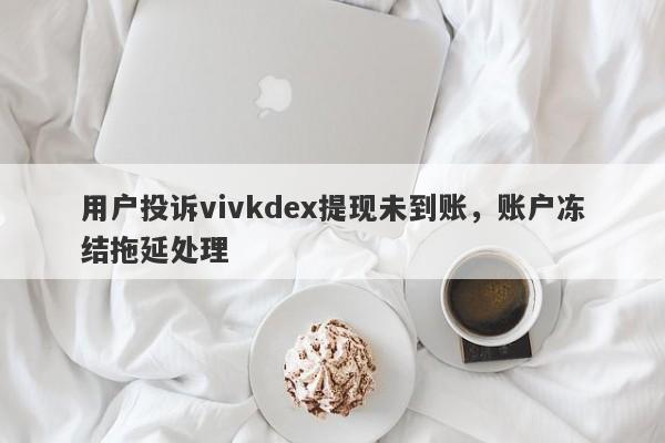 用户投诉vivkdex提现未到账，账户冻结拖延处理