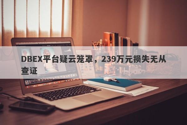 DBEX平台疑云笼罩，239万元损失无从查证