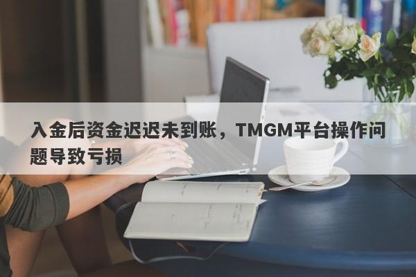 入金后资金迟迟未到账，TMGM平台操作问题导致亏损