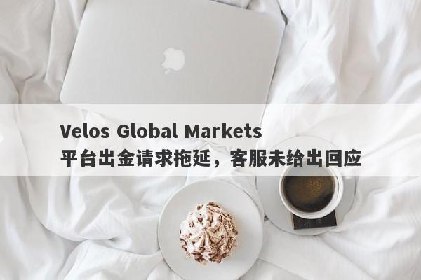 Velos Global Markets平台出金请求拖延，客服未给出回应