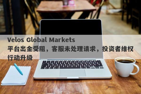 Velos Global Markets平台出金受阻，客服未处理请求，投资者维权行动升级