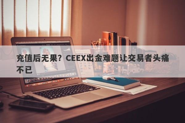 充值后无果？CEEX出金难题让交易者头痛不已